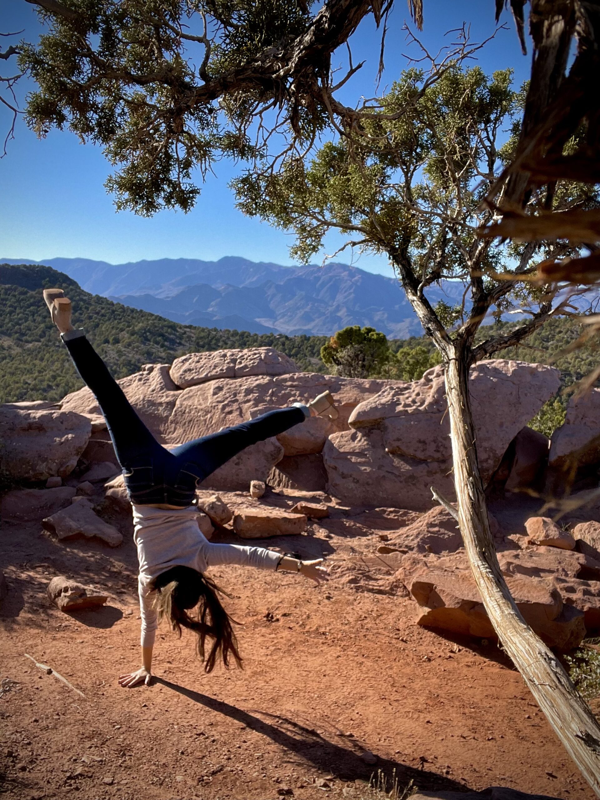 Woman doing a handstand on red soil by a tree